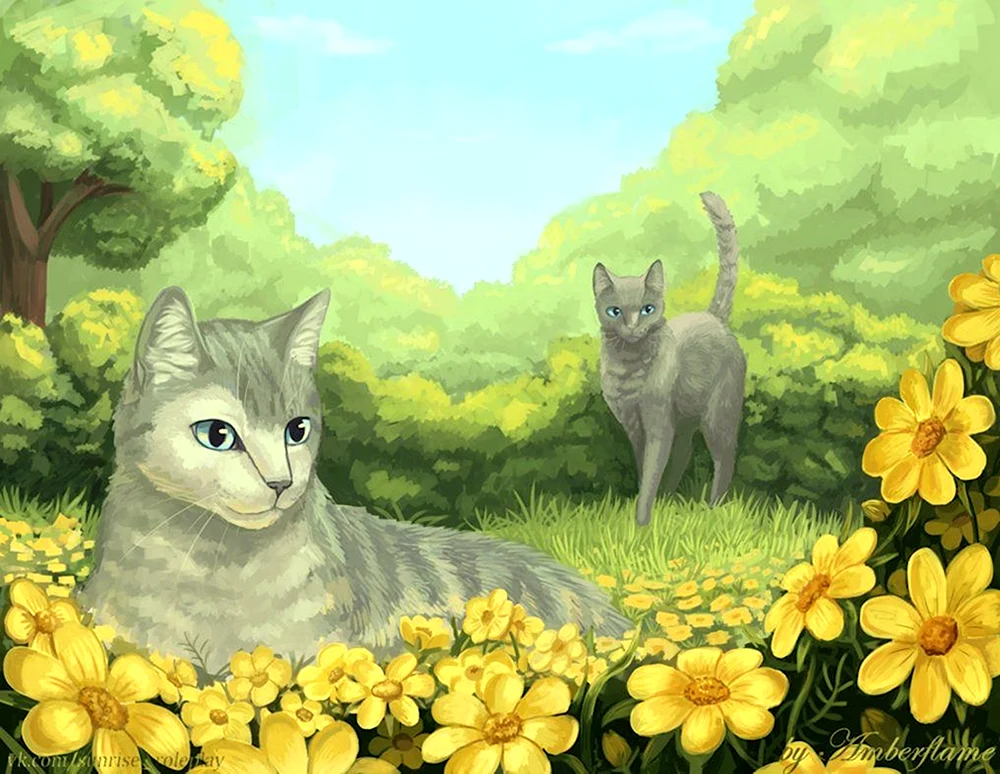 Katzenkrieger Heilerzelt