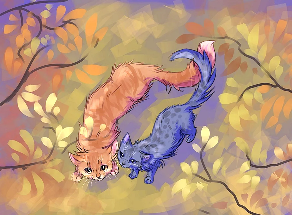 Cats Warriors Lynx
