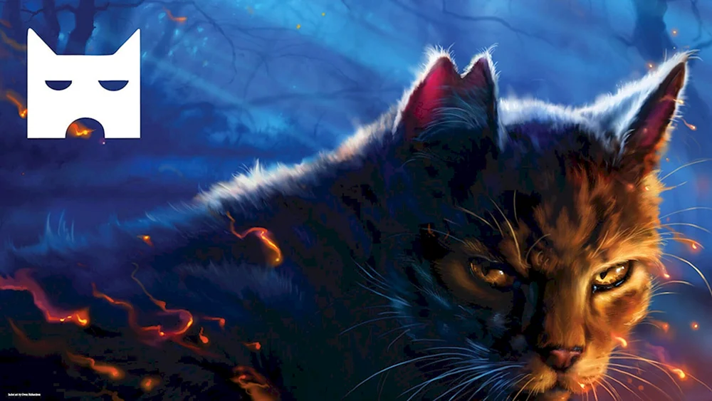 Cats Warriors Background