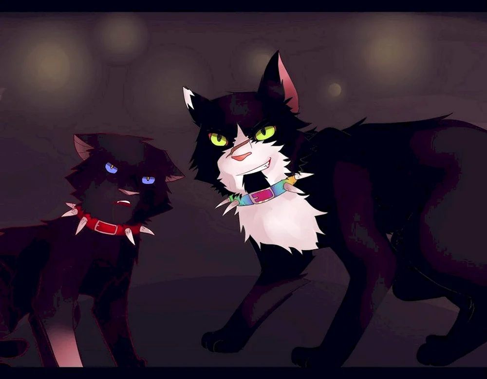 Katzen Warriors blutiger Stamm