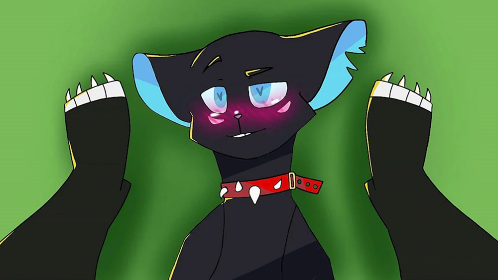 Beach Warrior Cats Wiki