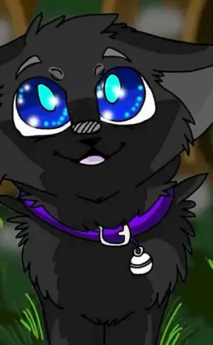 Katzen Warriors Beach klein