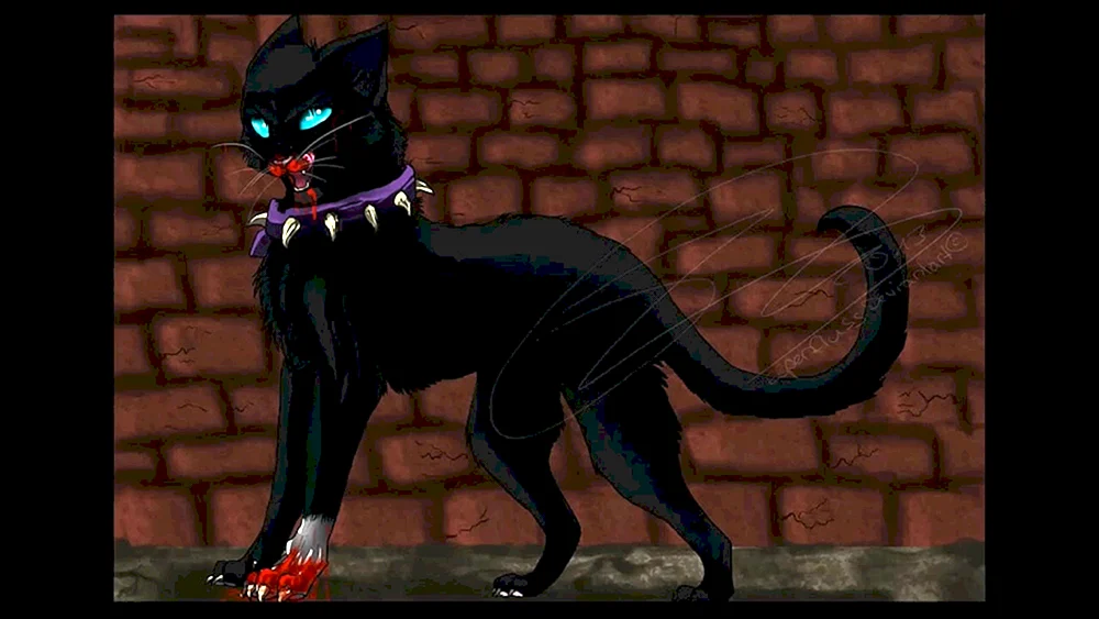 Katzen Warriors Katze Beach