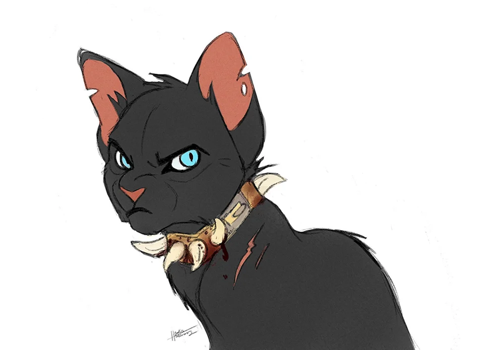 Katzen Warriors blutige Katze Stamm