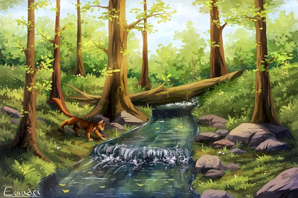 Kriegerkatzen Camp River Tribe