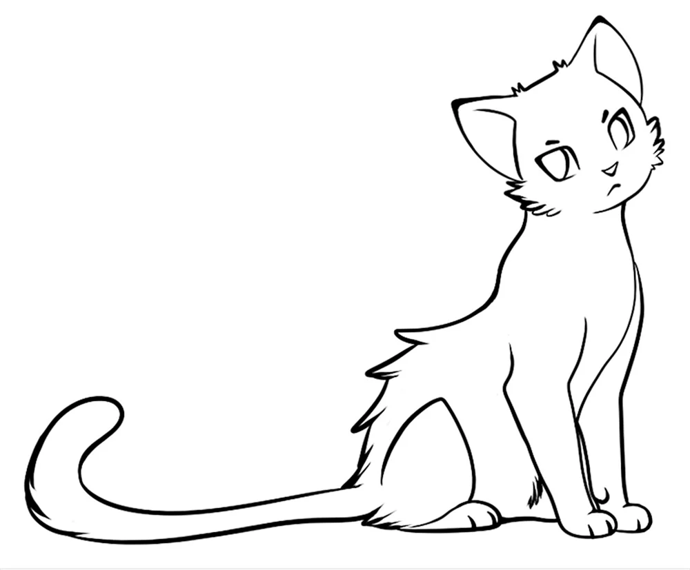 Katzenkrieger linas
