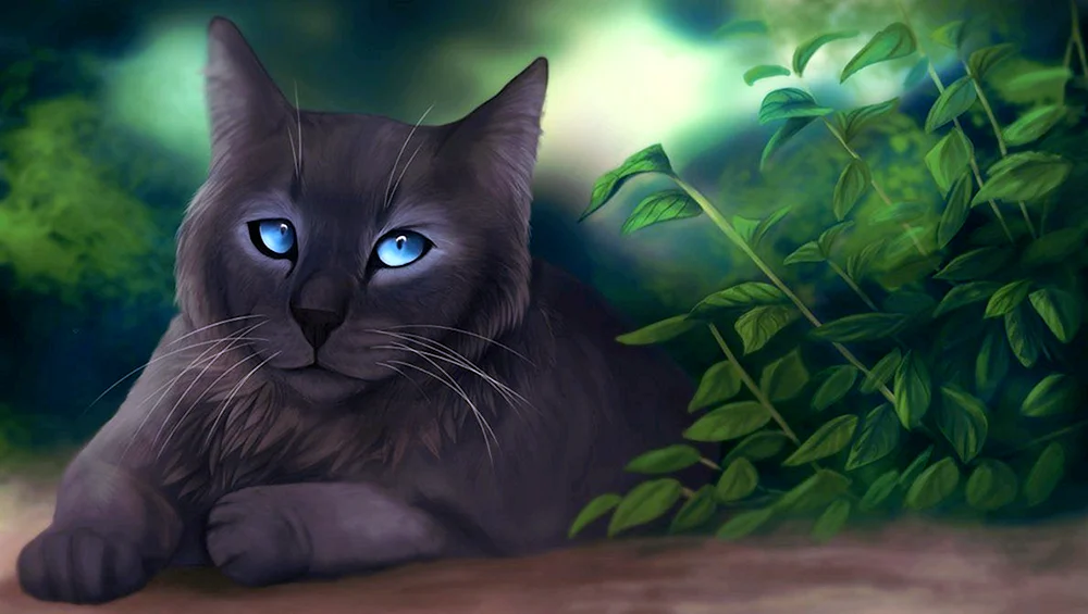 Katzenkrieger Alosewood