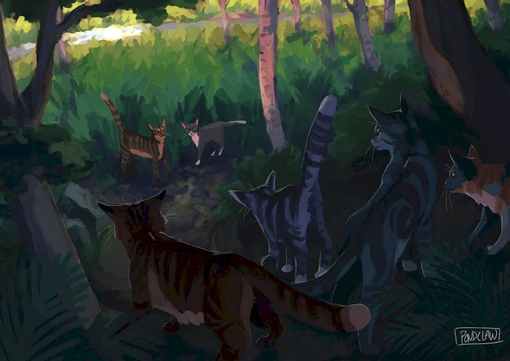 Cats Warriors Heather Star