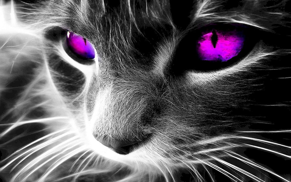 Cross Pad CPA 001 Katze