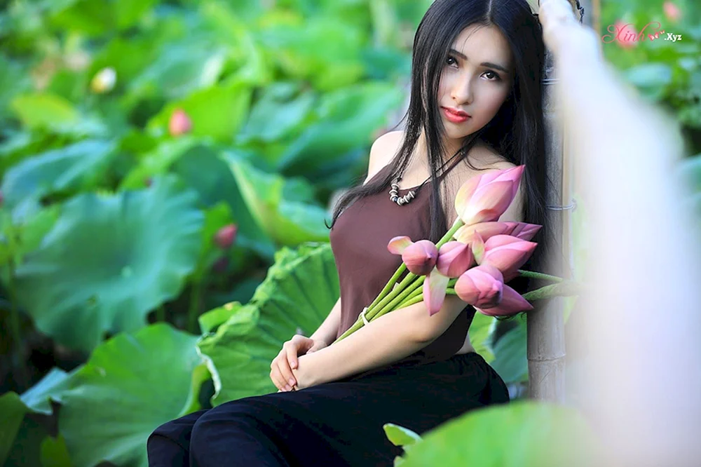 Vietnamesische Schönheiten.