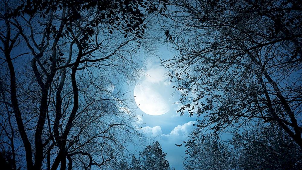 Schön bei Nacht