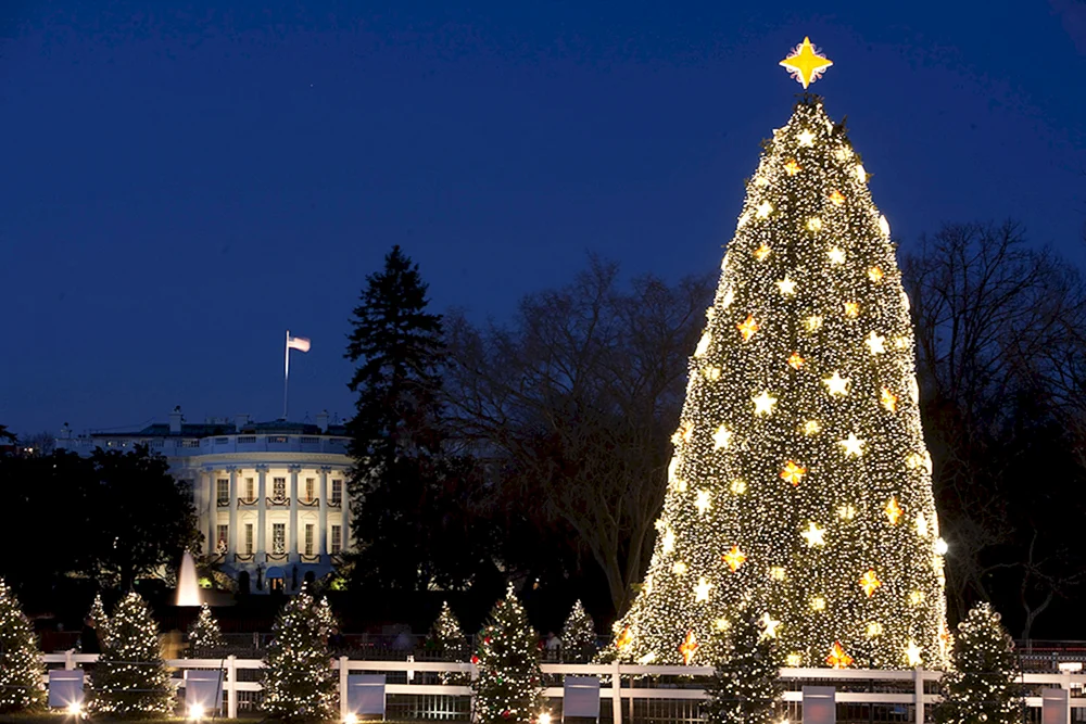 Schöner Neujahrsbaum
