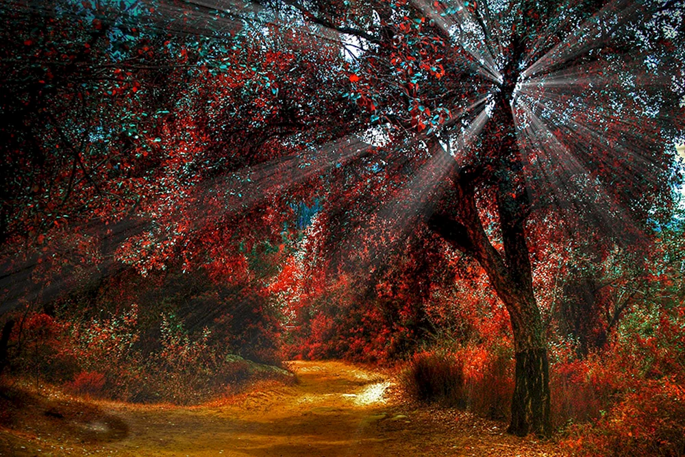 Herbst