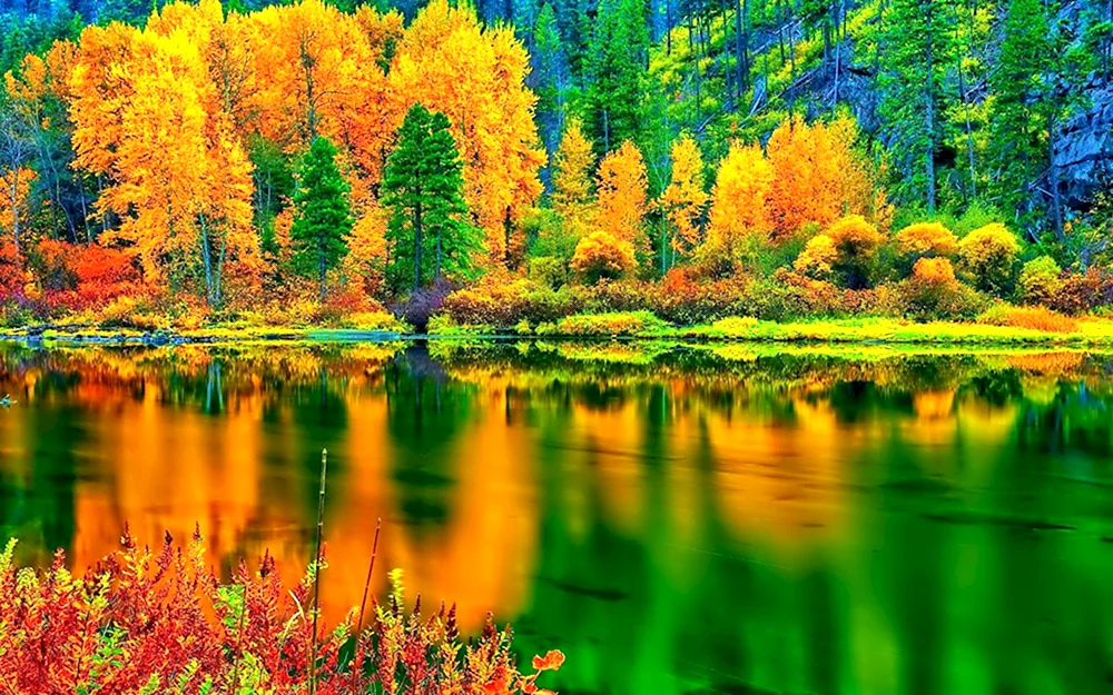 Schöner Herbst