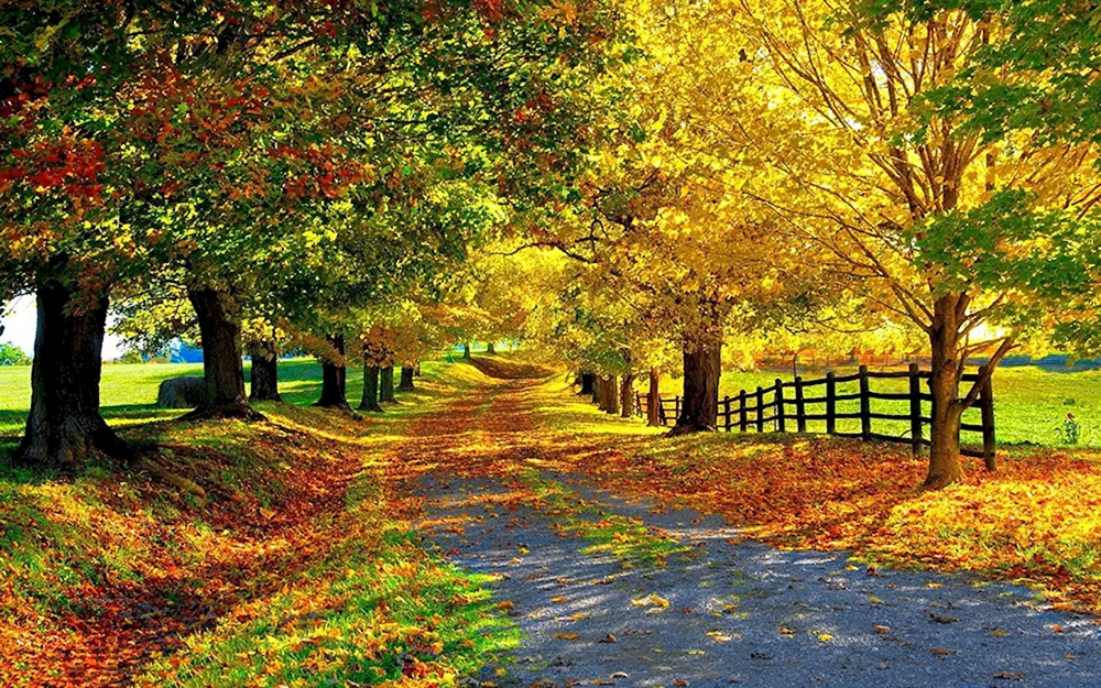 Herbststraße