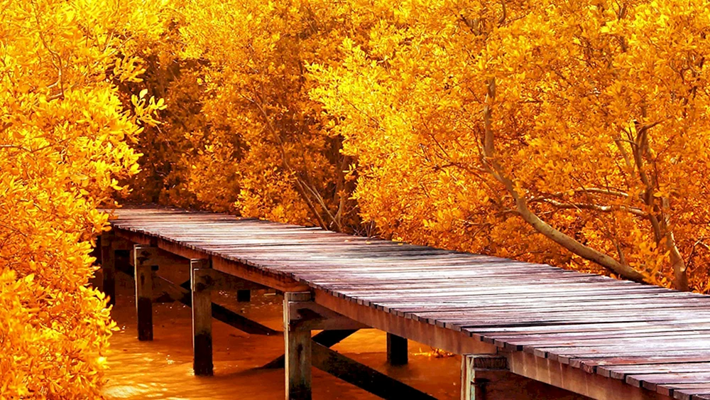 Frühherbst