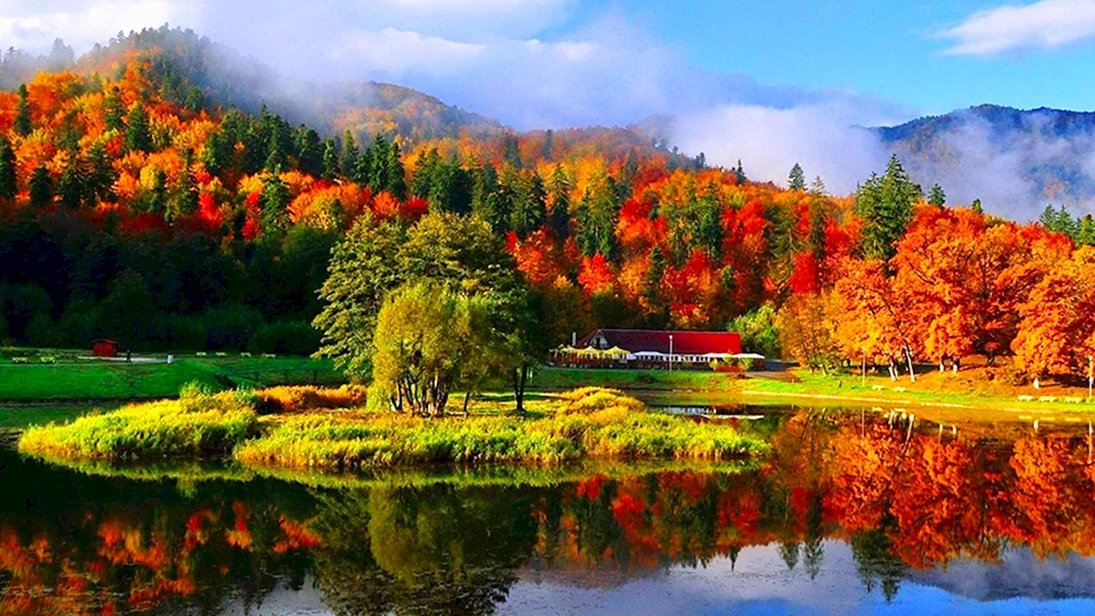 Schöner Herbst