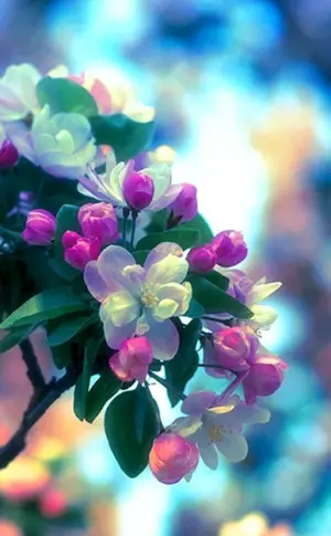 Schöner Frühling