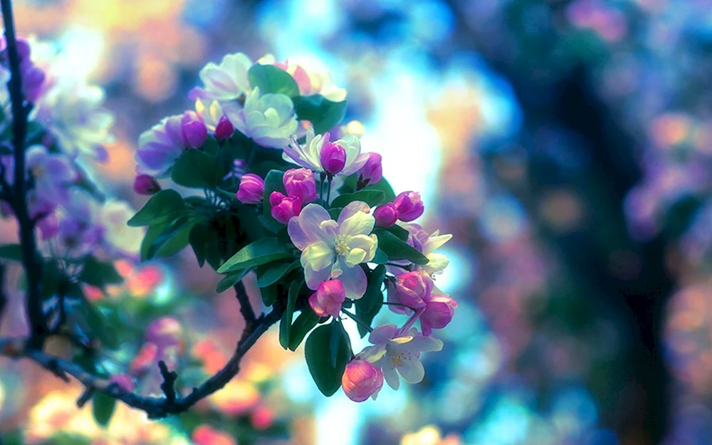 Schöner Frühling