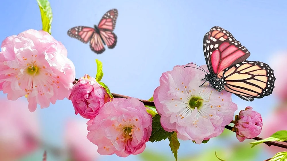 Schöner Frühling