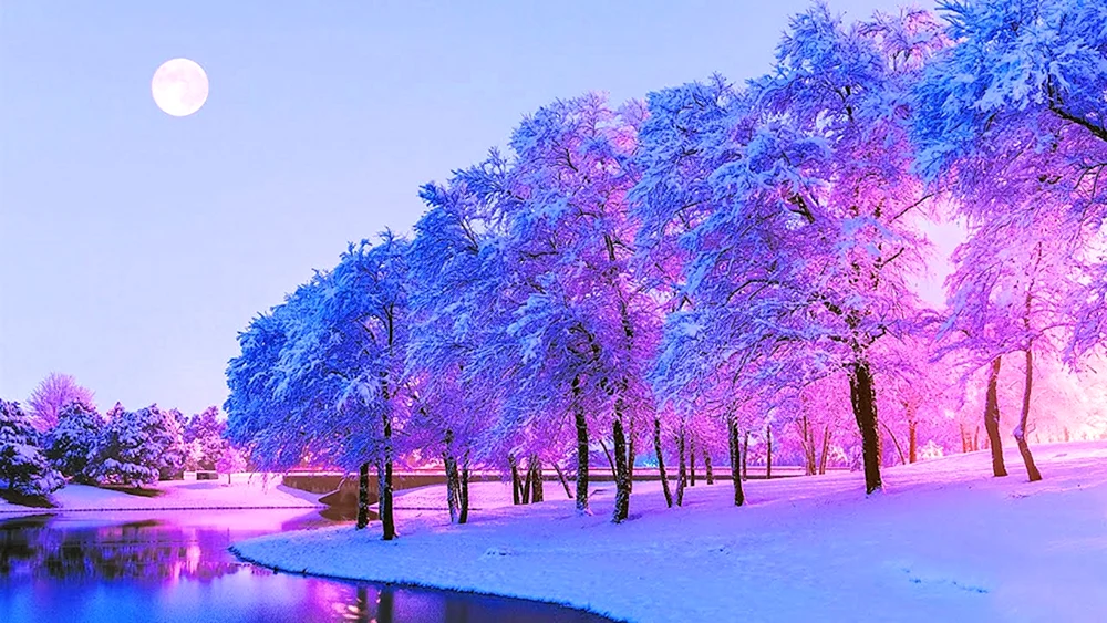 Winterlandschaft