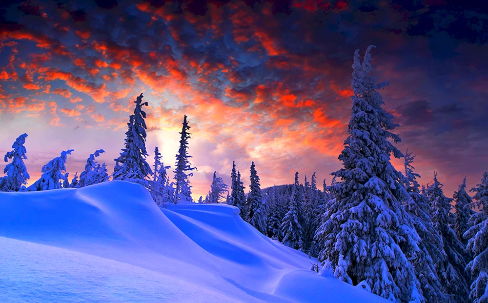 Schöner Winter