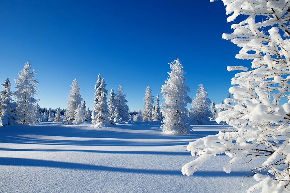 Winterlandschaft