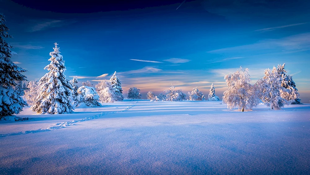 Winter Natur