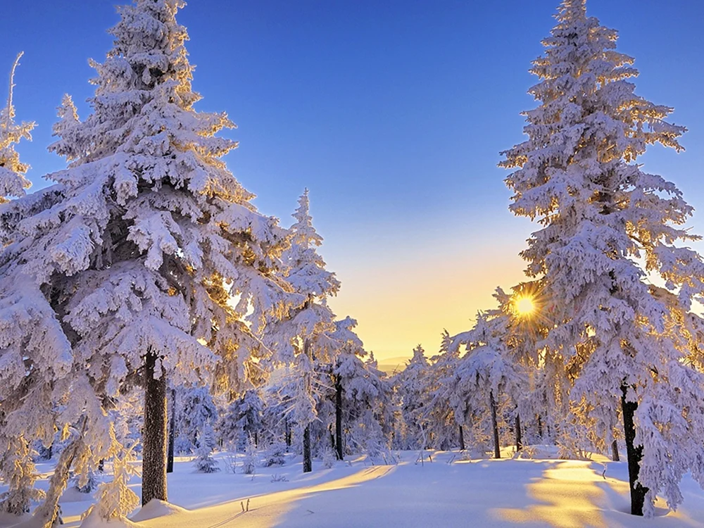 Schöner Winter