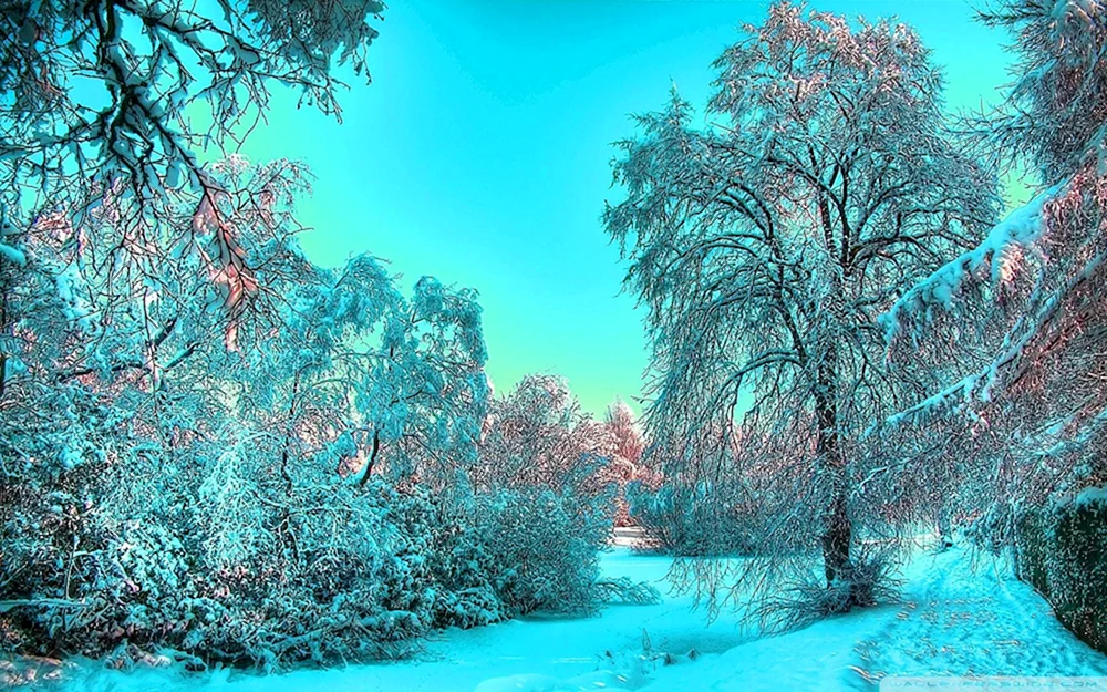 Schöner Winter
