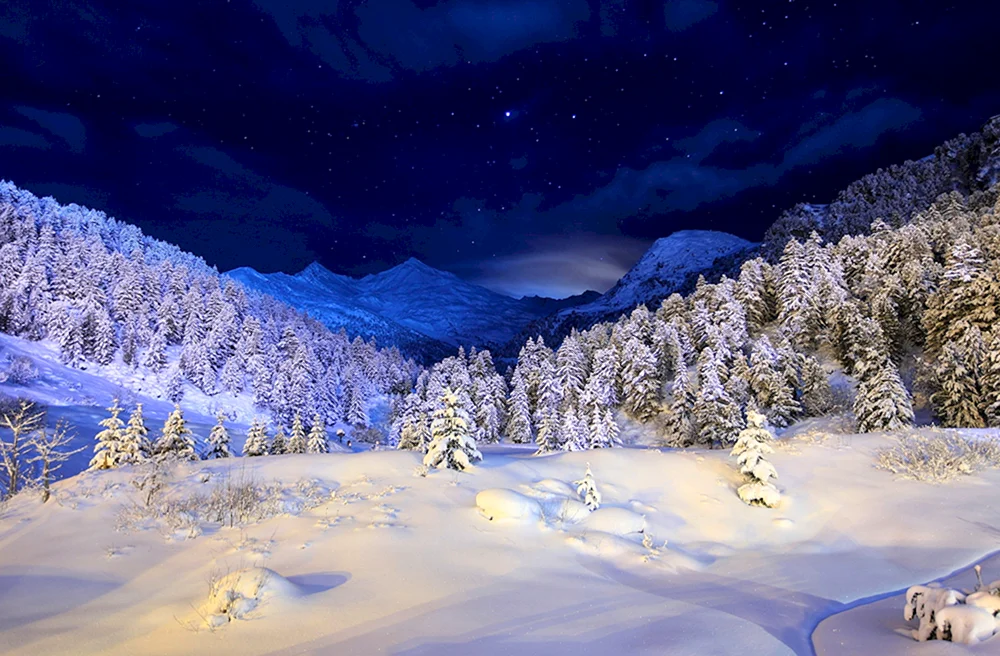 Winter Haus