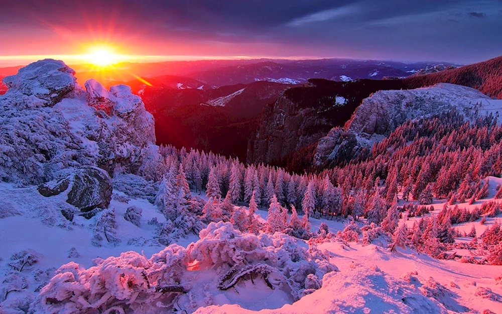Schöner Winter