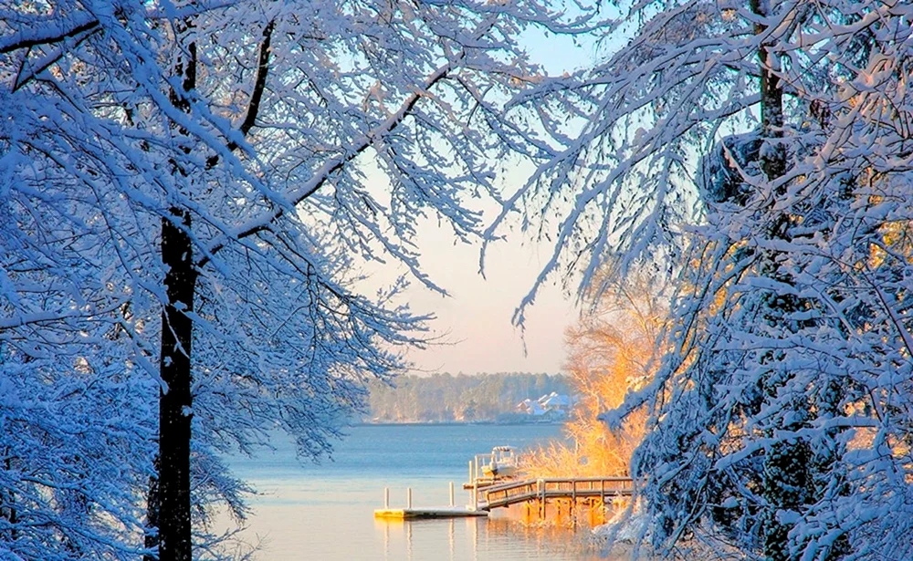 Schöner Winter
