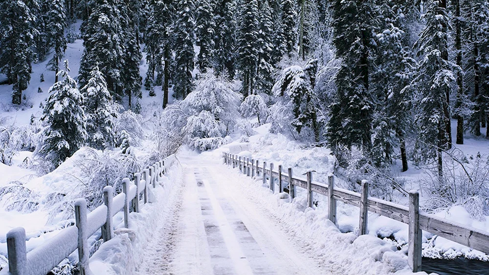 Schöner Winter