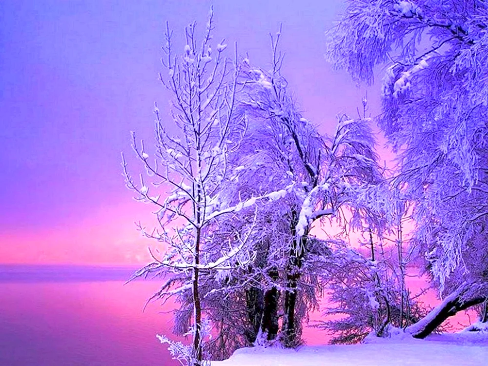 Schöner Winter