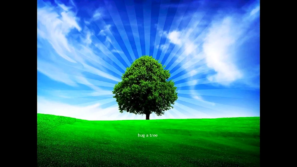 Schöner Baum