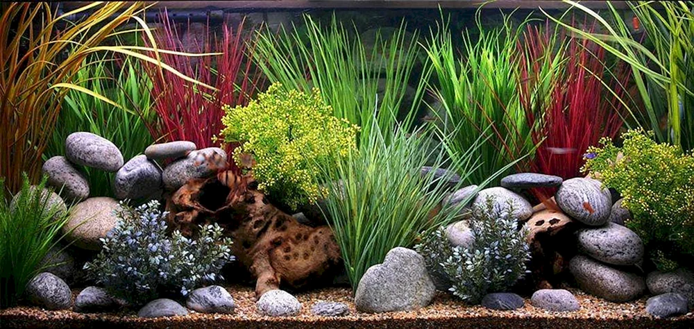 Strass-Aquascape