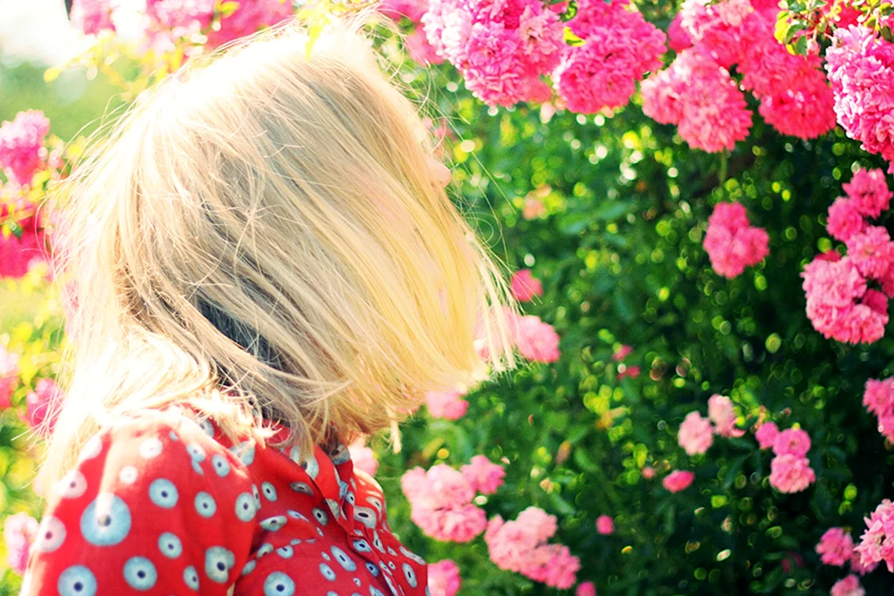 Schöne Blondinen mit Blumen Blondinen mit Blumen