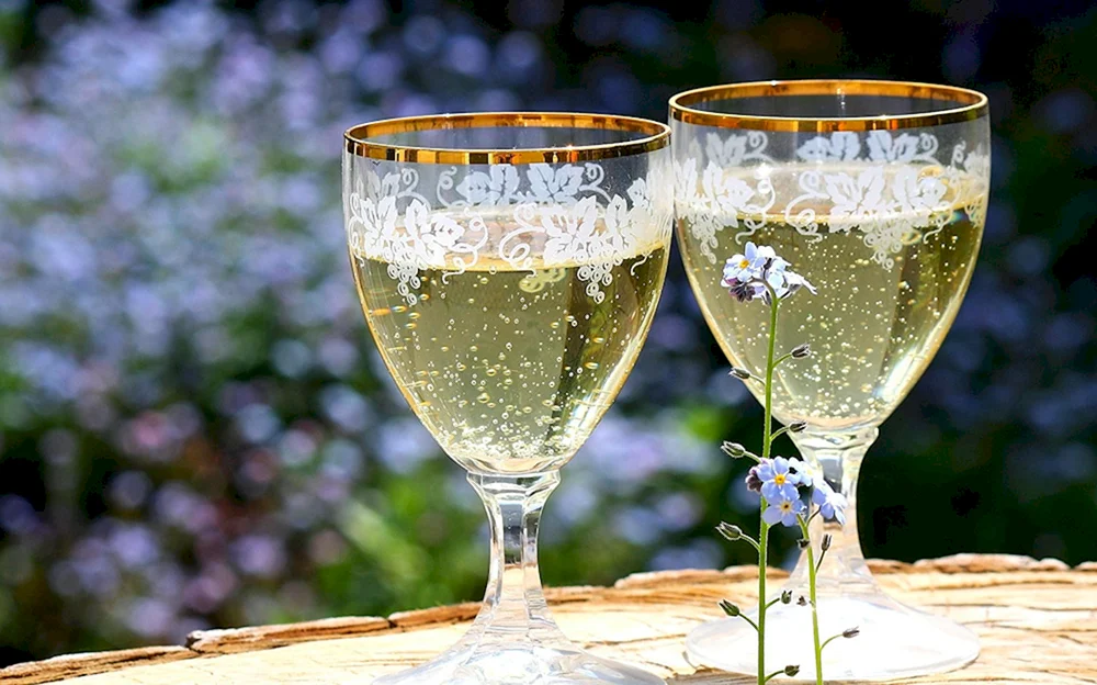 Champagner im Glas Sektgläser