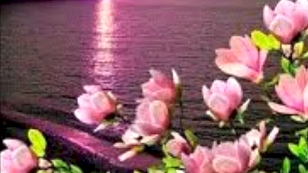 Blumenbild für Avatar