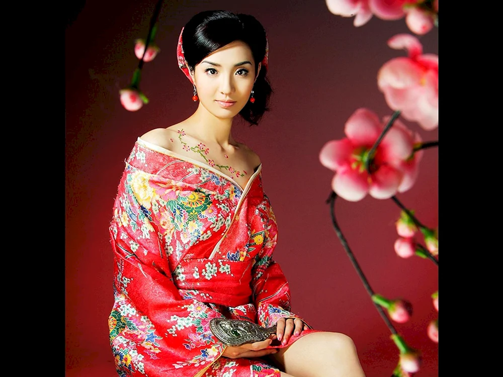 Fan Bingbing geisha