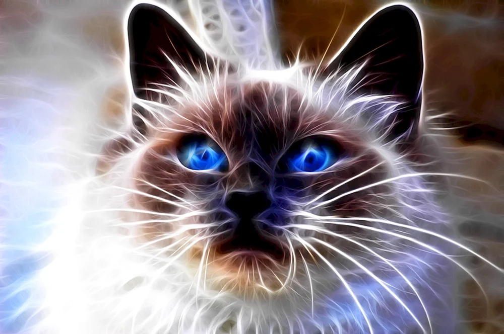 Rote Katze mit Brille