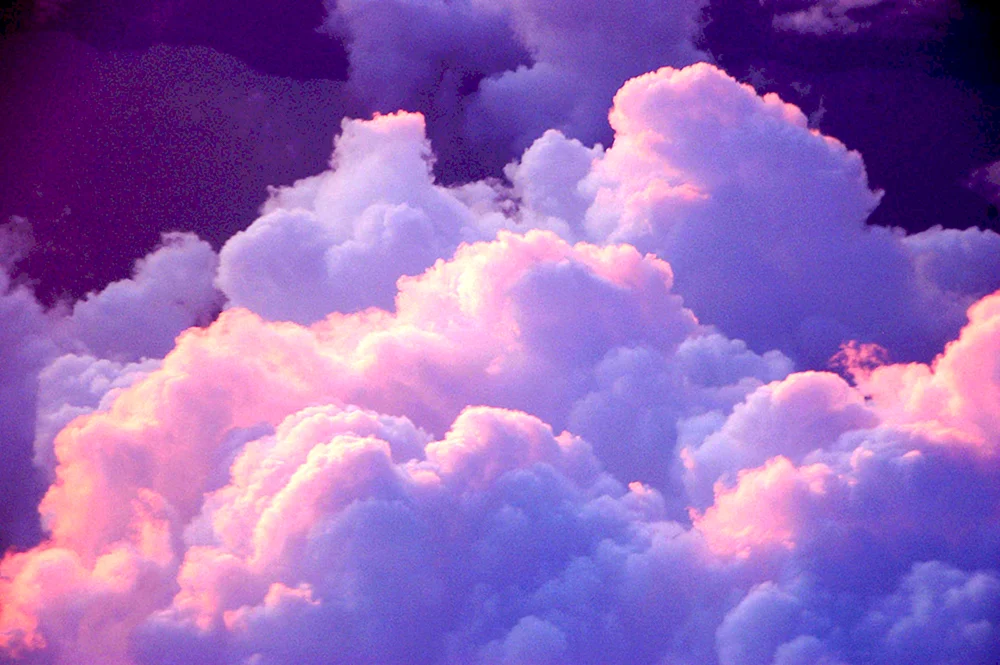 Pink Ästhetik