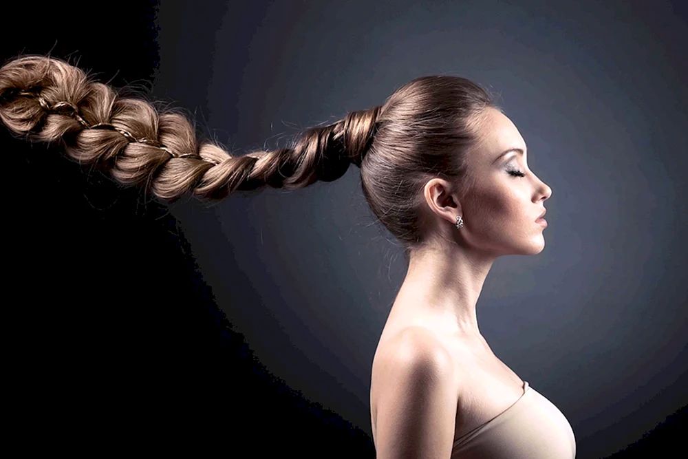 Flechtfrisuren.