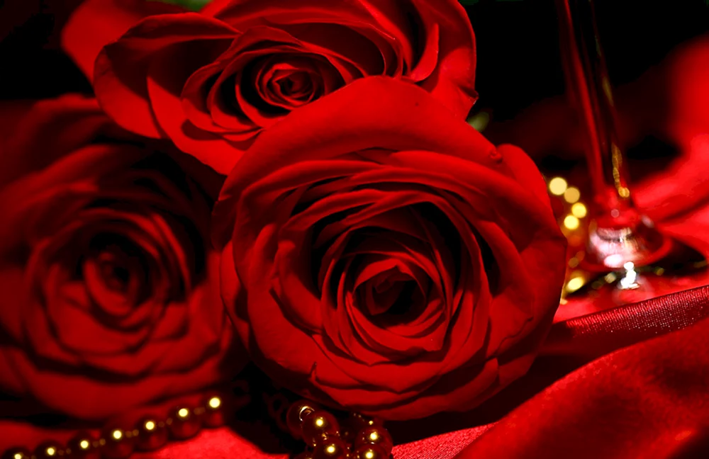 Rote Blume