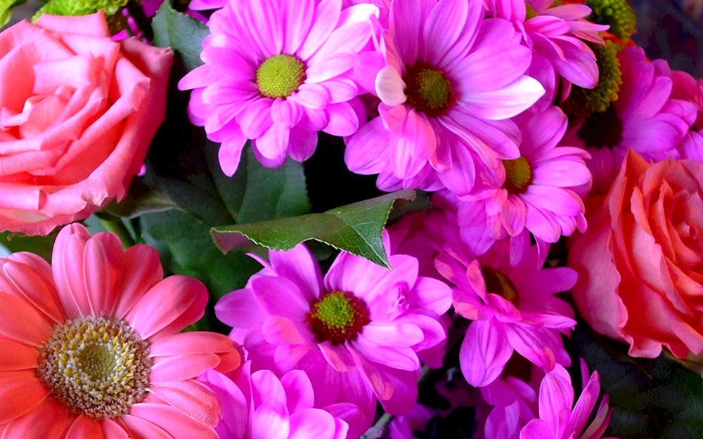 Schöne Blumen