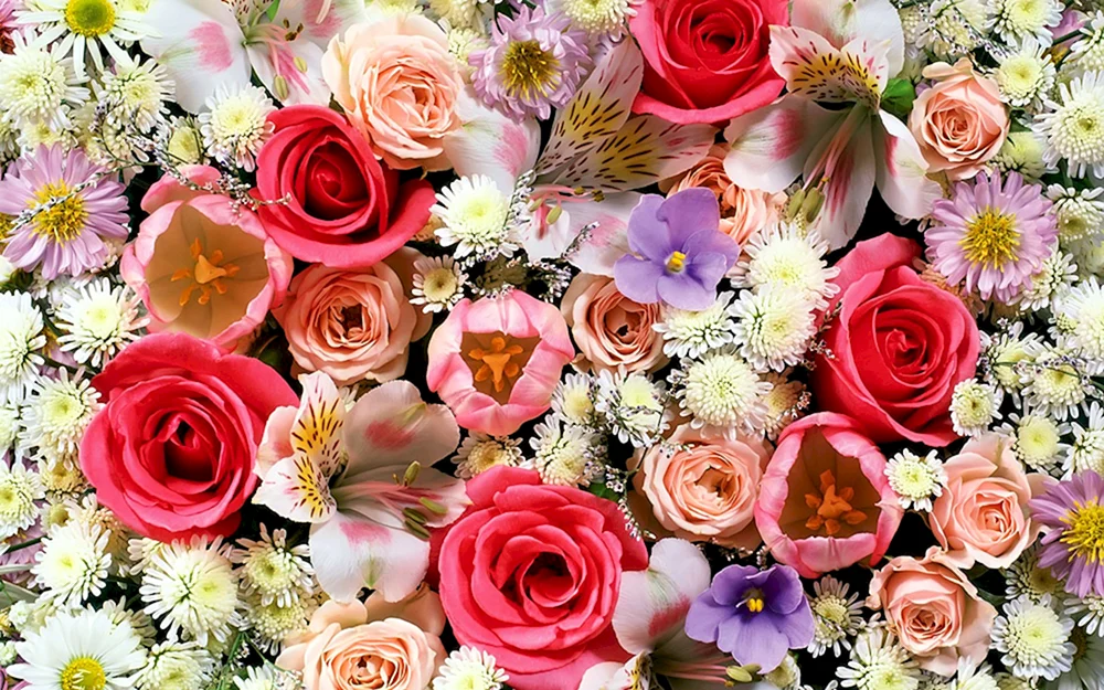Schöne Blumen