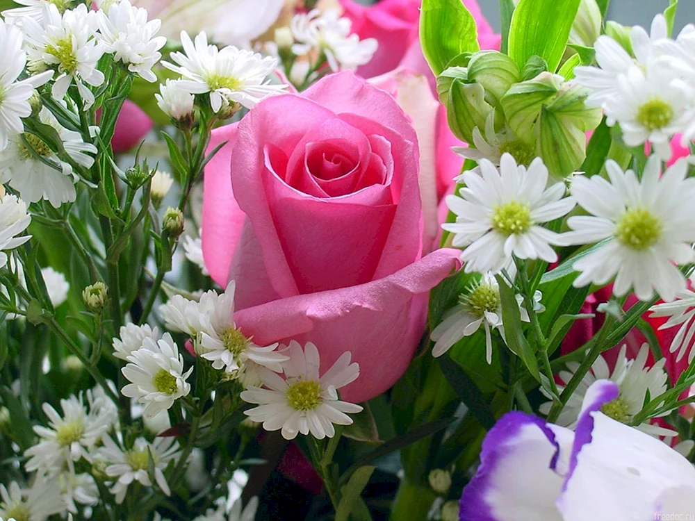 Schöne Blumen