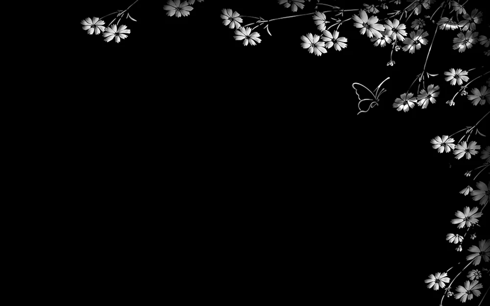 Schöne Blumen auf schwarzem Hintergrund