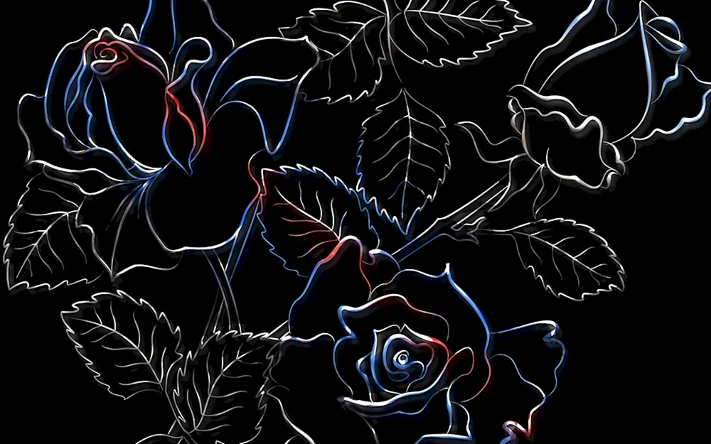 Blumen auf schwarzem Hintergrund
